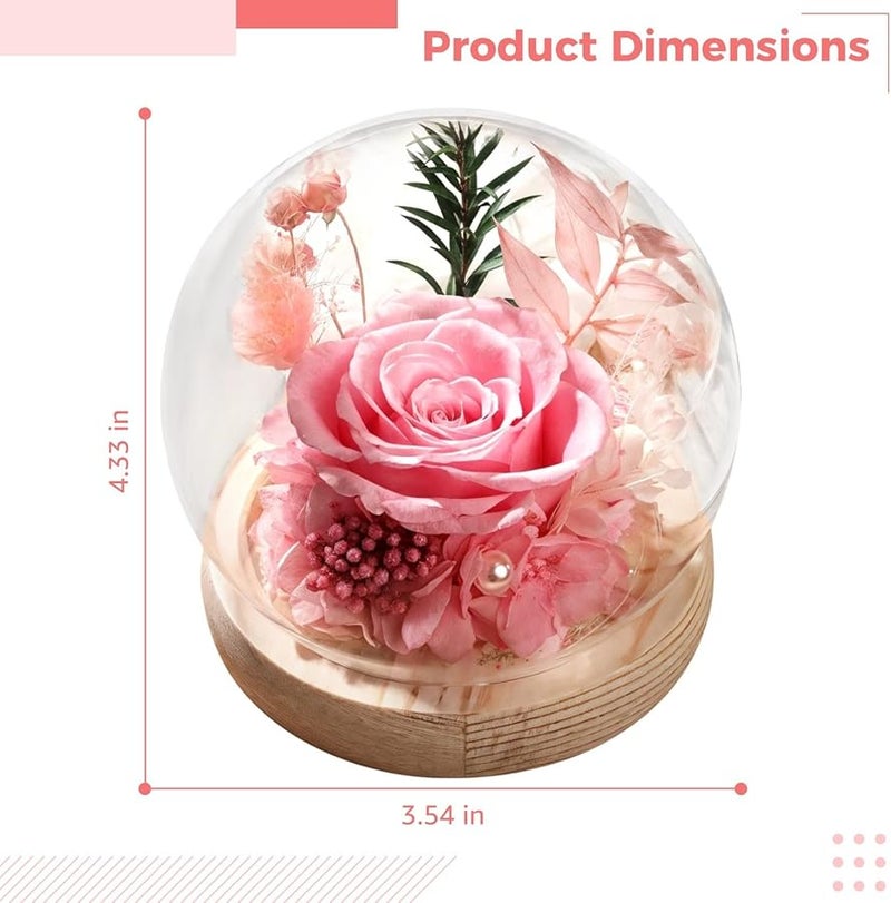 الورود الحمراء المحفوظة الأبدية في قبة زجاجية مع قاعدة خشبية لتزيين الزهور - Image 3